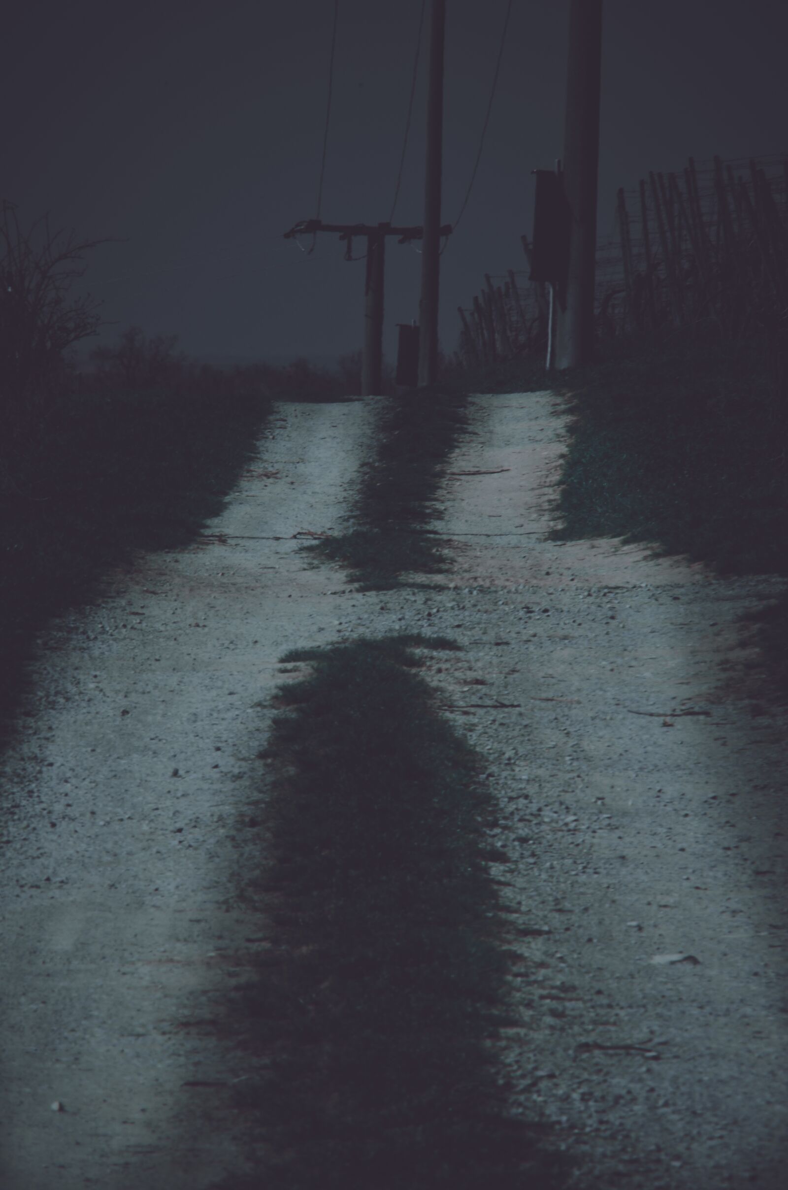 Nikon D5100 sample photo. Dark, path, night photography