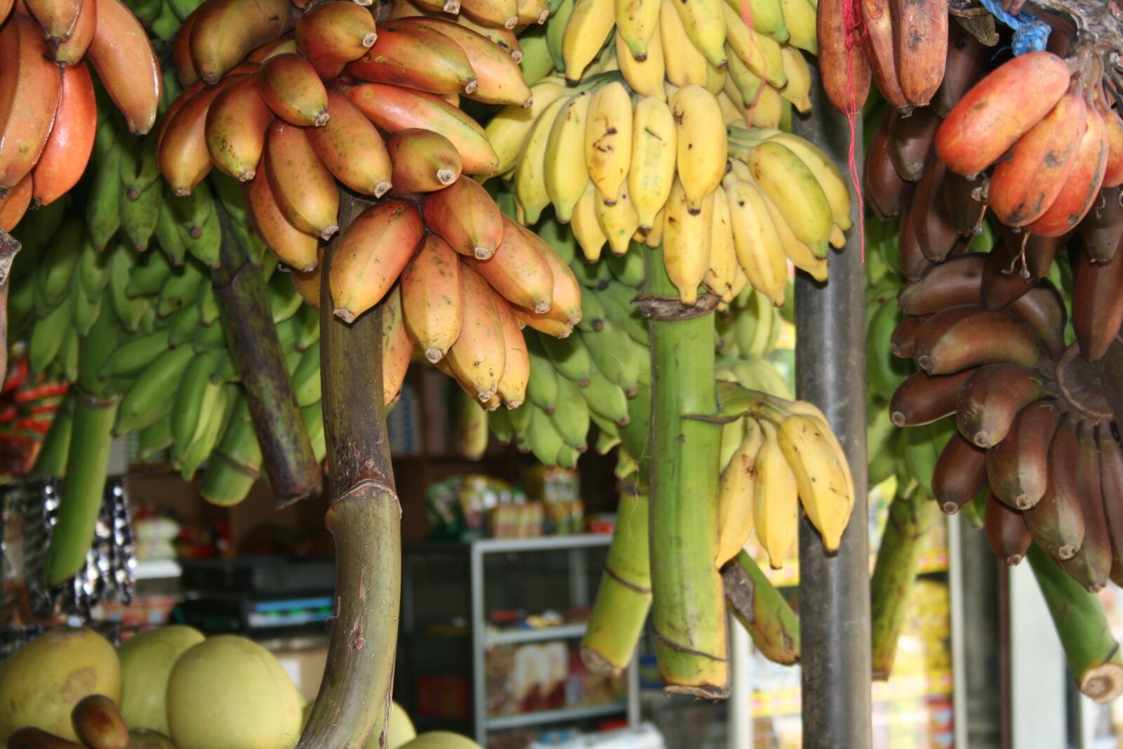 Canon EOS 400D (EOS Digital Rebel XTi / EOS Kiss Digital X) sample photo. Bananas, sri lanka, square photography