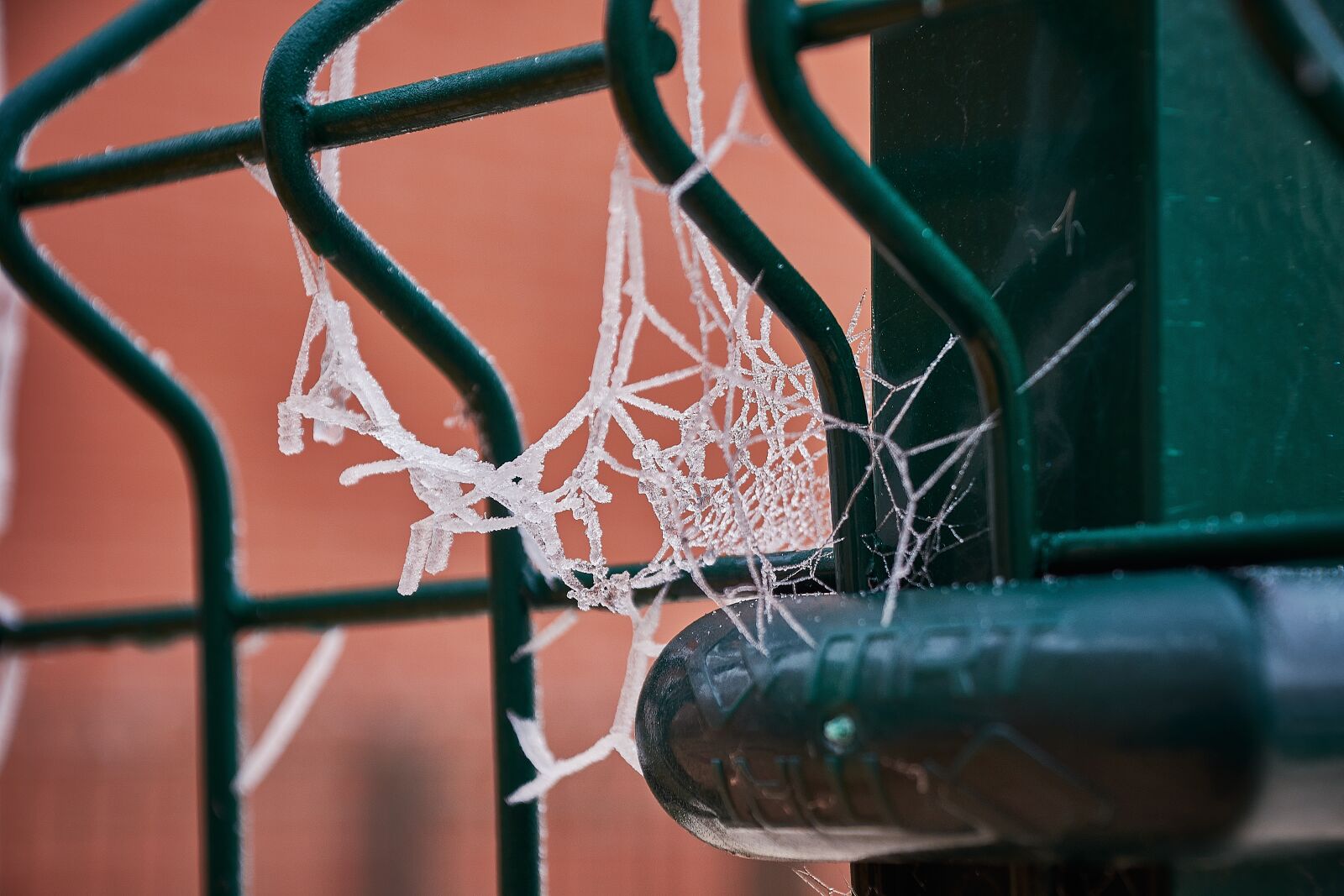 Nikon D7200 sample photo. Spider webs, frozen, frost photography