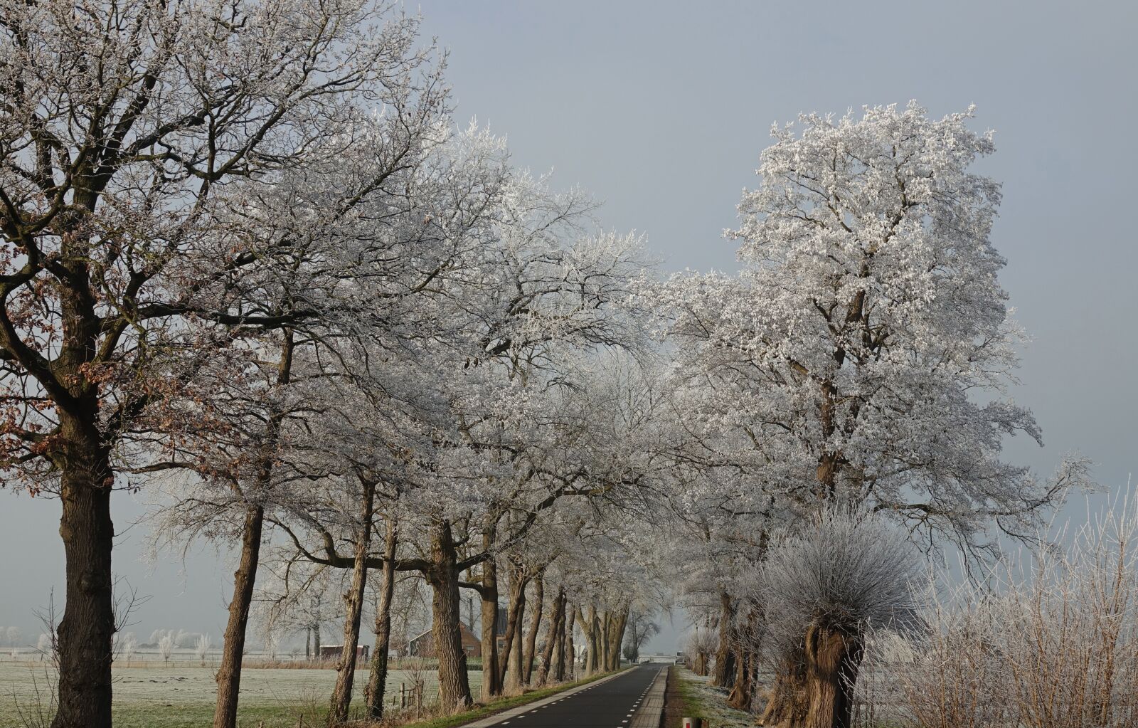 Sony Cyber-shot DSC-RX10 III sample photo. Winter, snow, ice photography