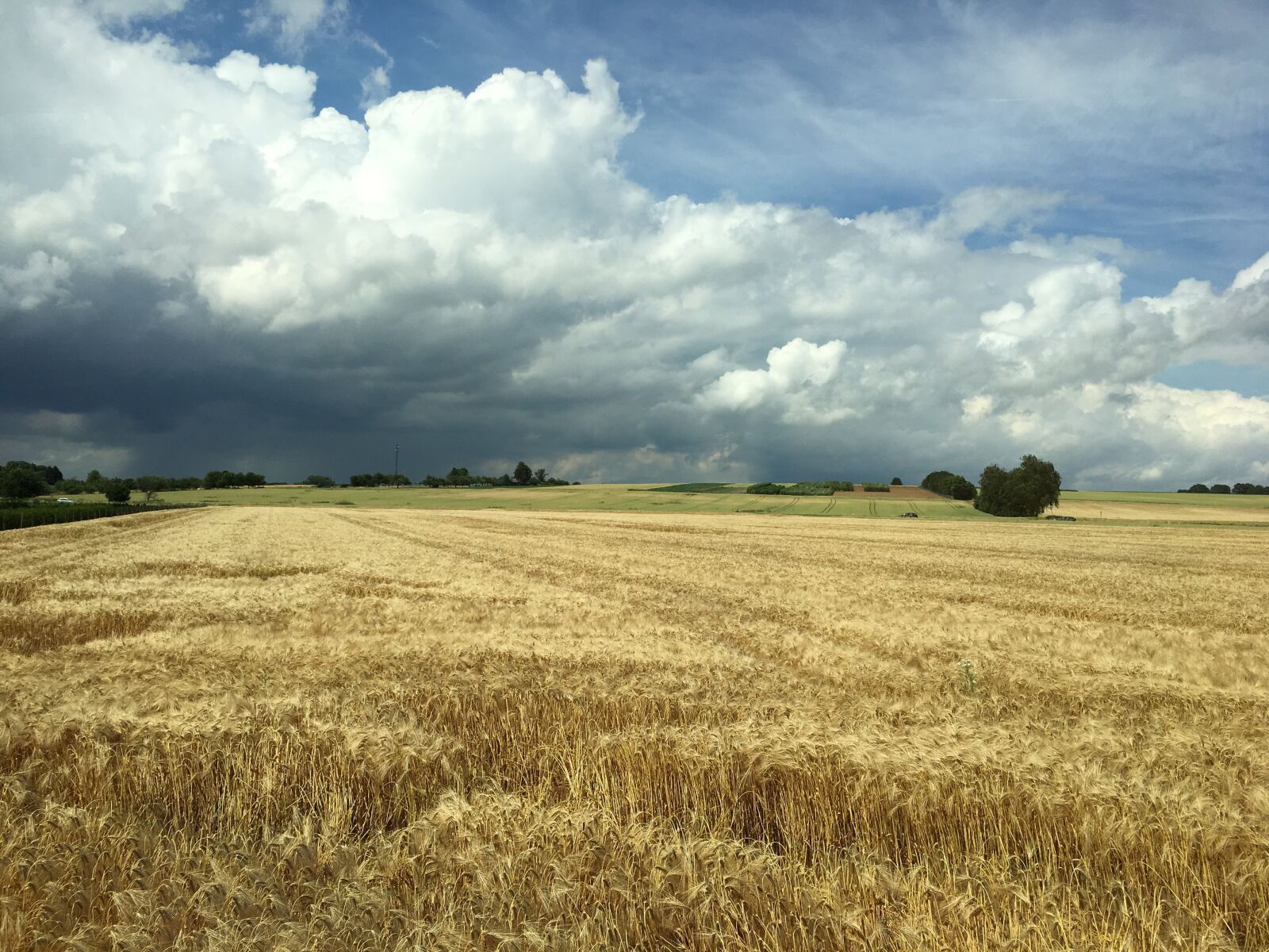 iPhone 6s Plus back camera 4.15mm f/2.2 sample photo. Farming, clouds, sky photography