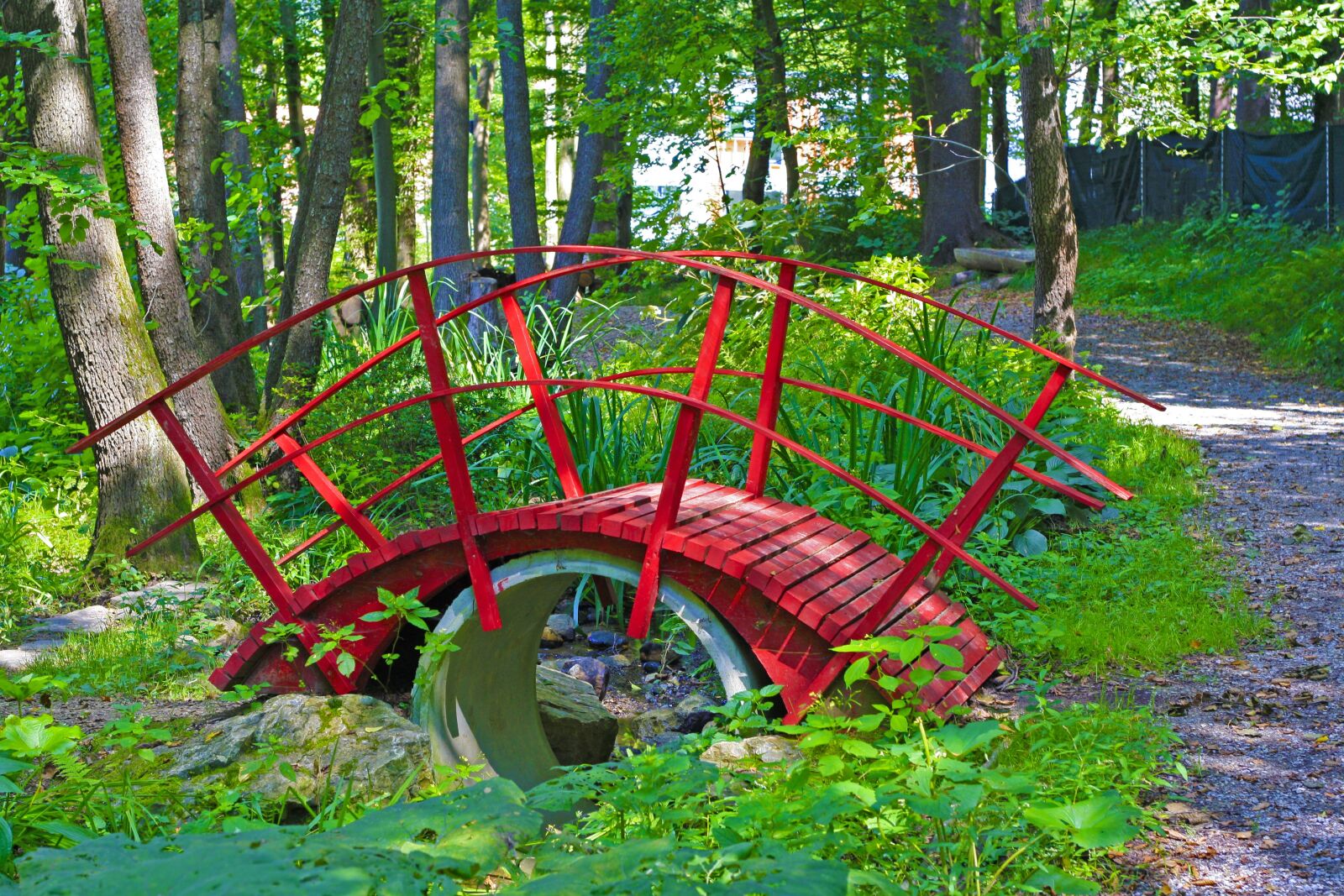 Canon EOS 1000D (EOS Digital Rebel XS / EOS Kiss F) sample photo. Forest, web, bridge photography