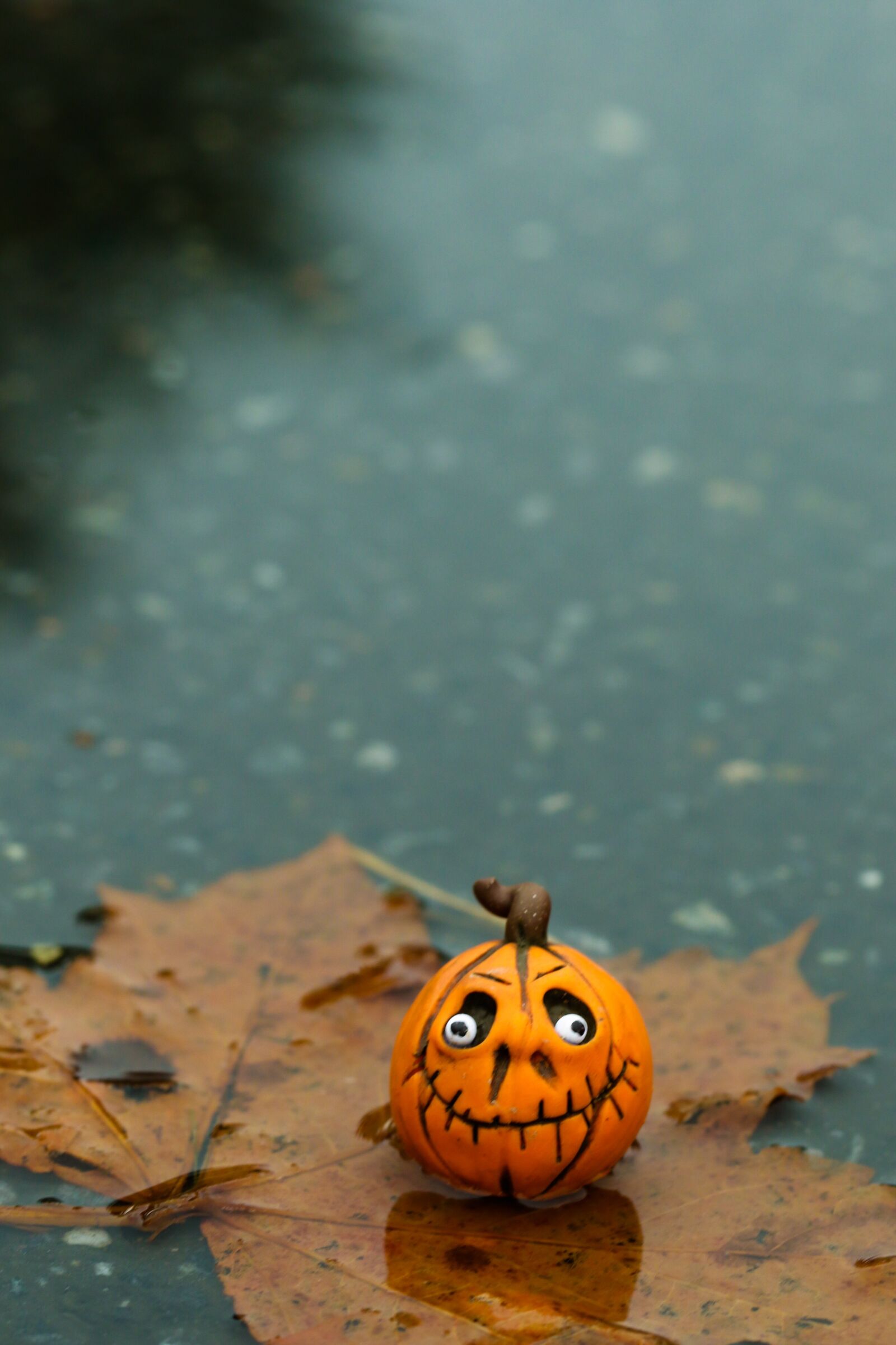 Canon EOS 7D Mark II sample photo. Halloween, figure, pumkin photography
