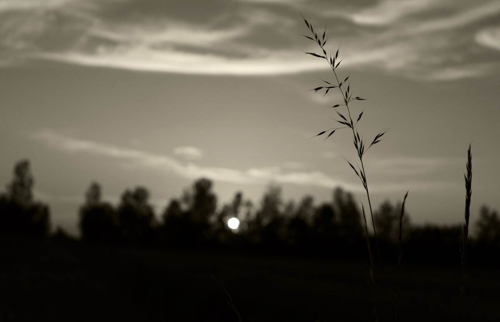 Canon EOS 100D (EOS Rebel SL1 / EOS Kiss X7) sample photo. Sky, clouds, white photography