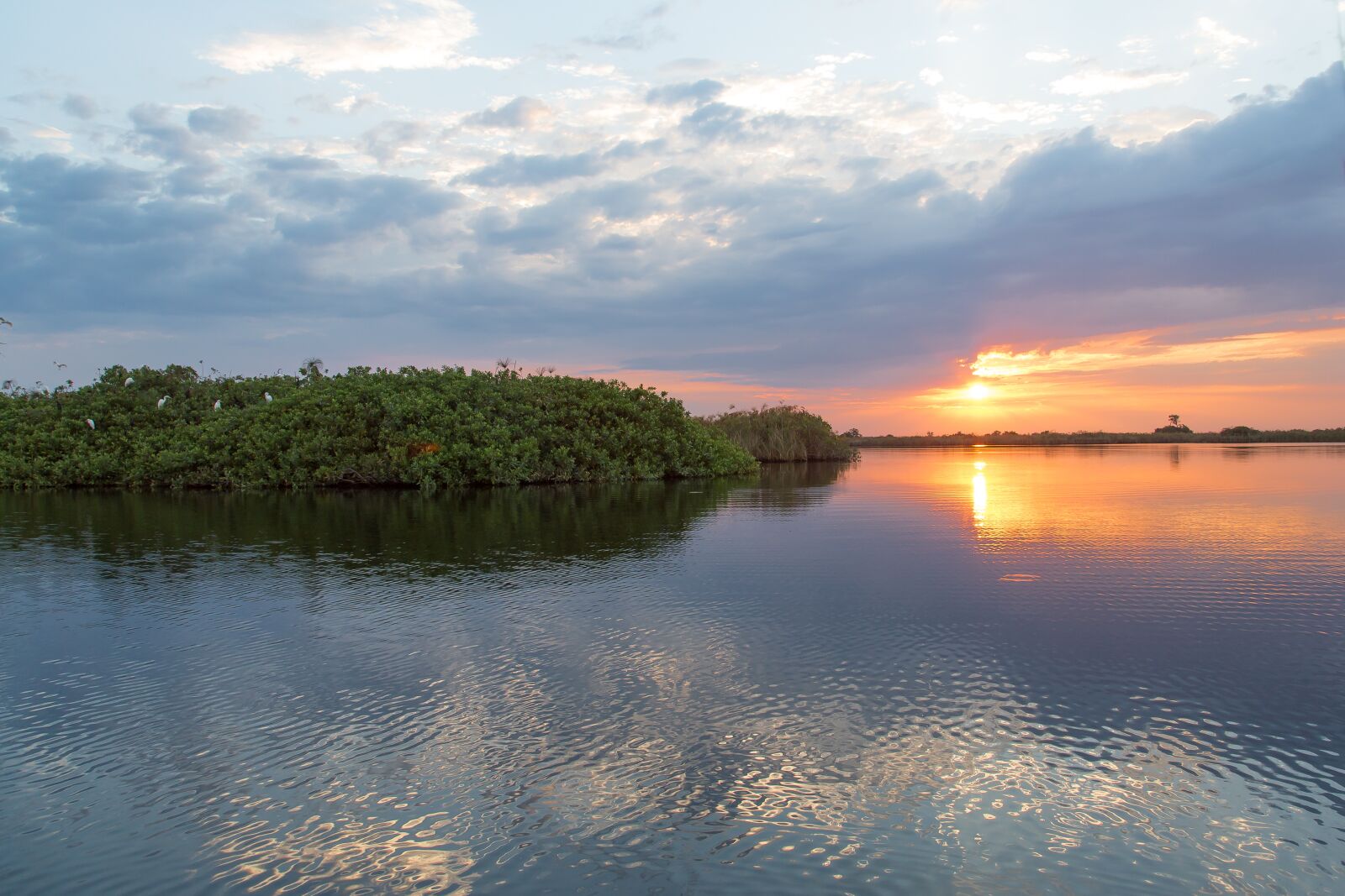 Canon EF 24-105mm F4L IS USM sample photo. Botswana, sunset, africa photography