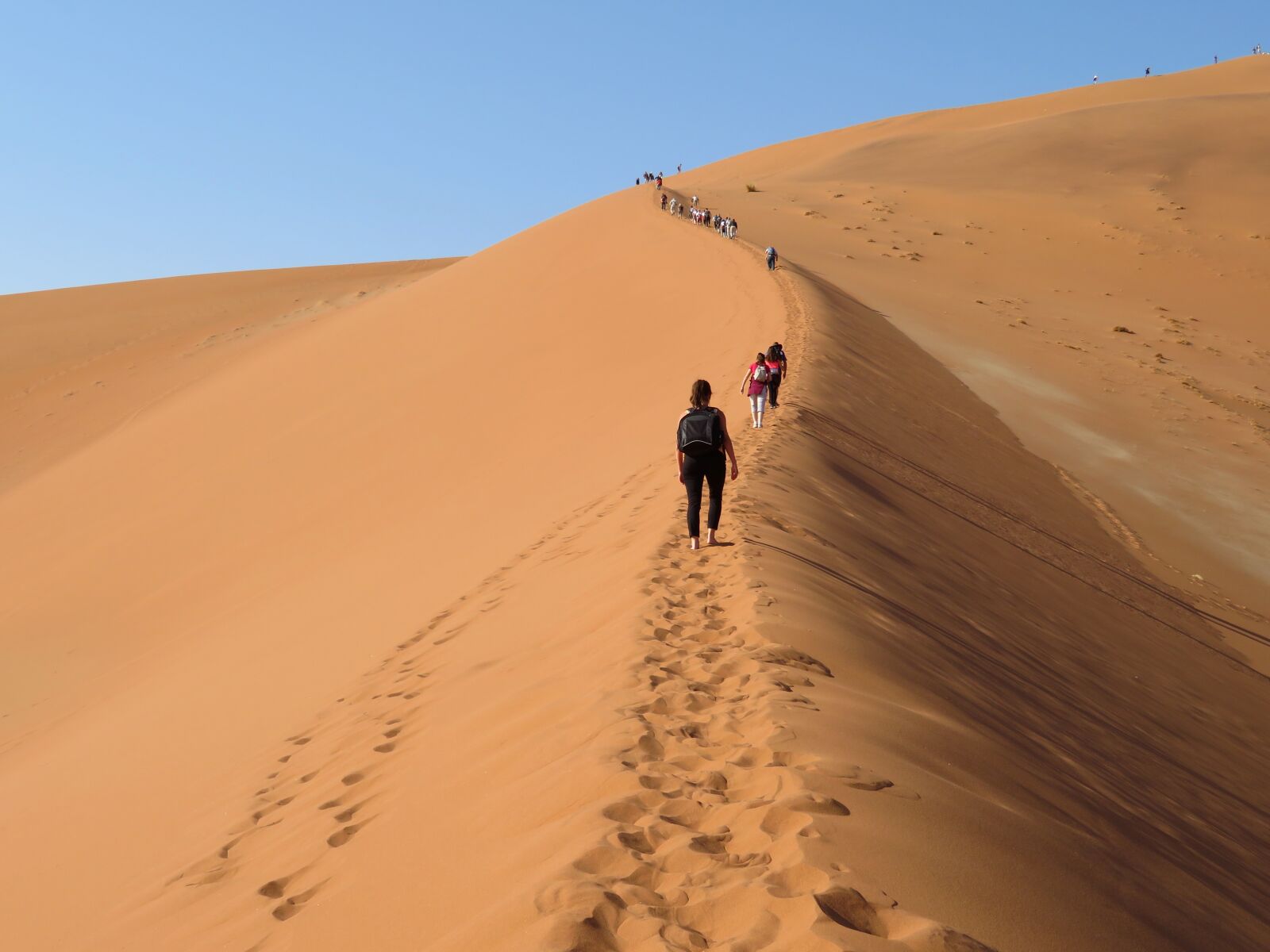 Canon PowerShot SX720 HS sample photo. Dune, big, daddy photography