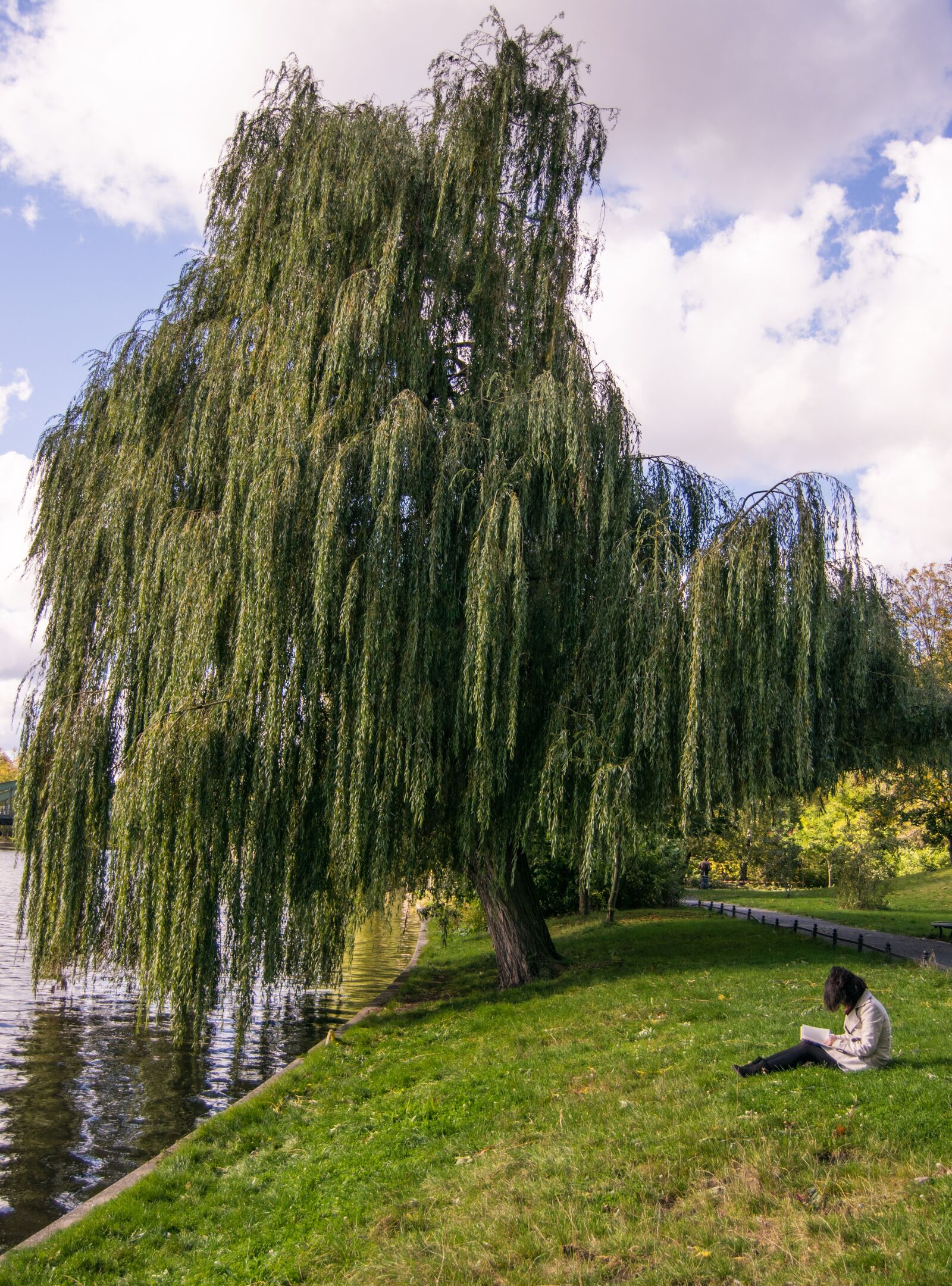 Nikon D5300 sample photo. Pasture, berlin, walk photography