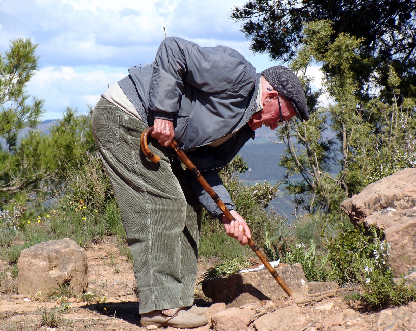 Sony DSC-H3 sample photo. Man, elder, leaning photography