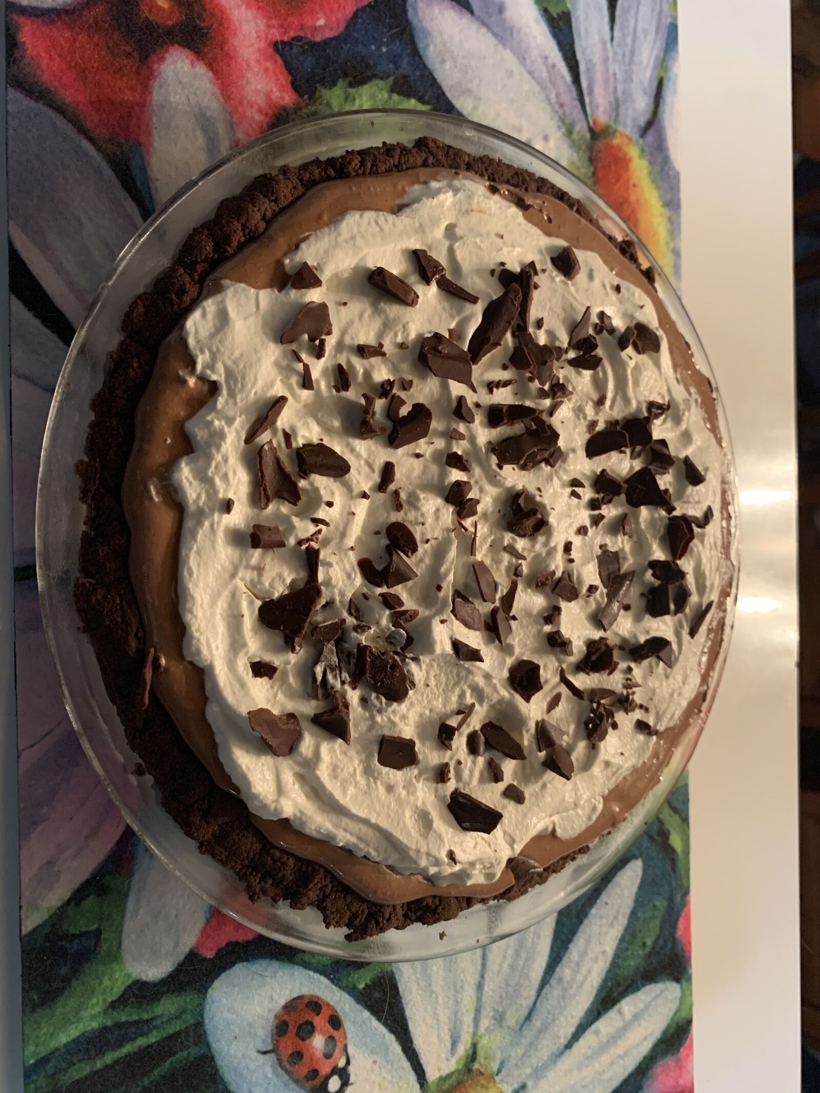 Apple iPhone XR sample photo. French silk pie, pie photography