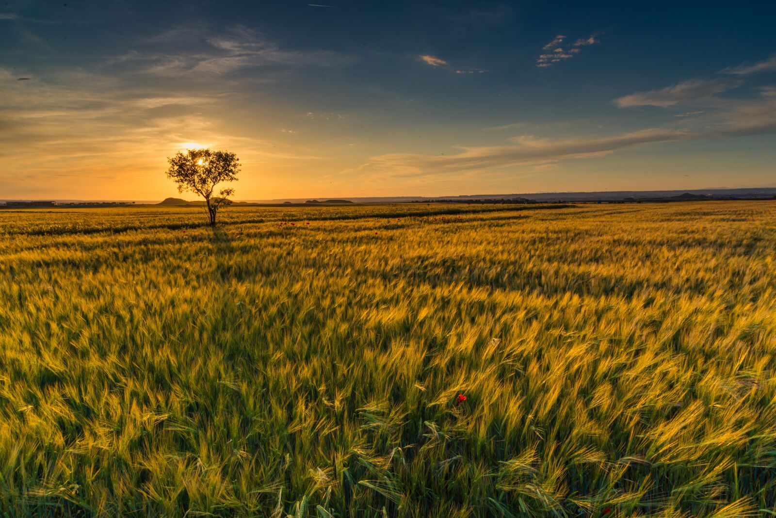 Nikon D610 sample photo. Sunset, horizon, cloud landscape photography