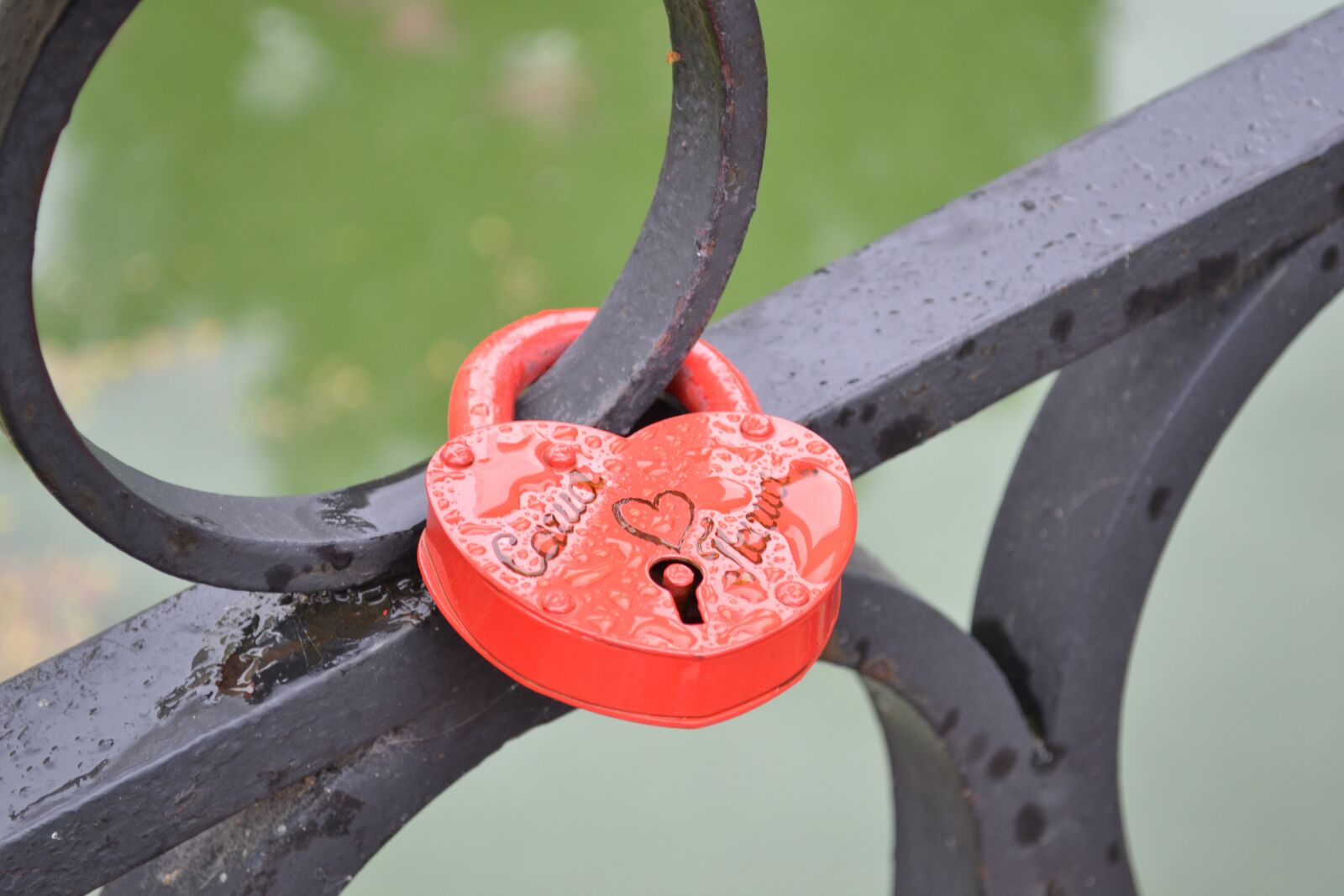 Nikon D3100 sample photo. Love, bridge, padlock photography