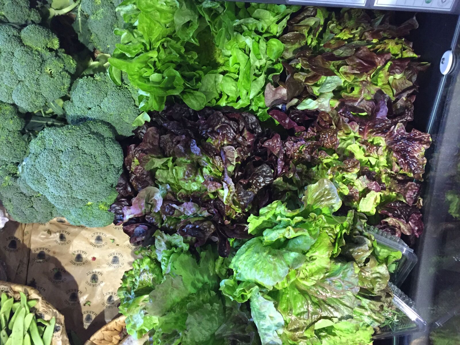 iPhone 6 back camera 4.15mm f/2.2 sample photo. Fresh, vegetable, lettuce, salad photography