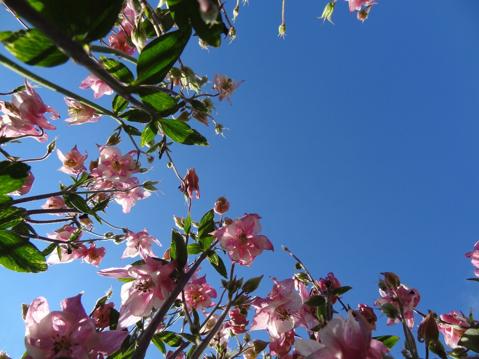 Sony Cyber-shot DSC-HX9V sample photo. Nature, sky, sun photography