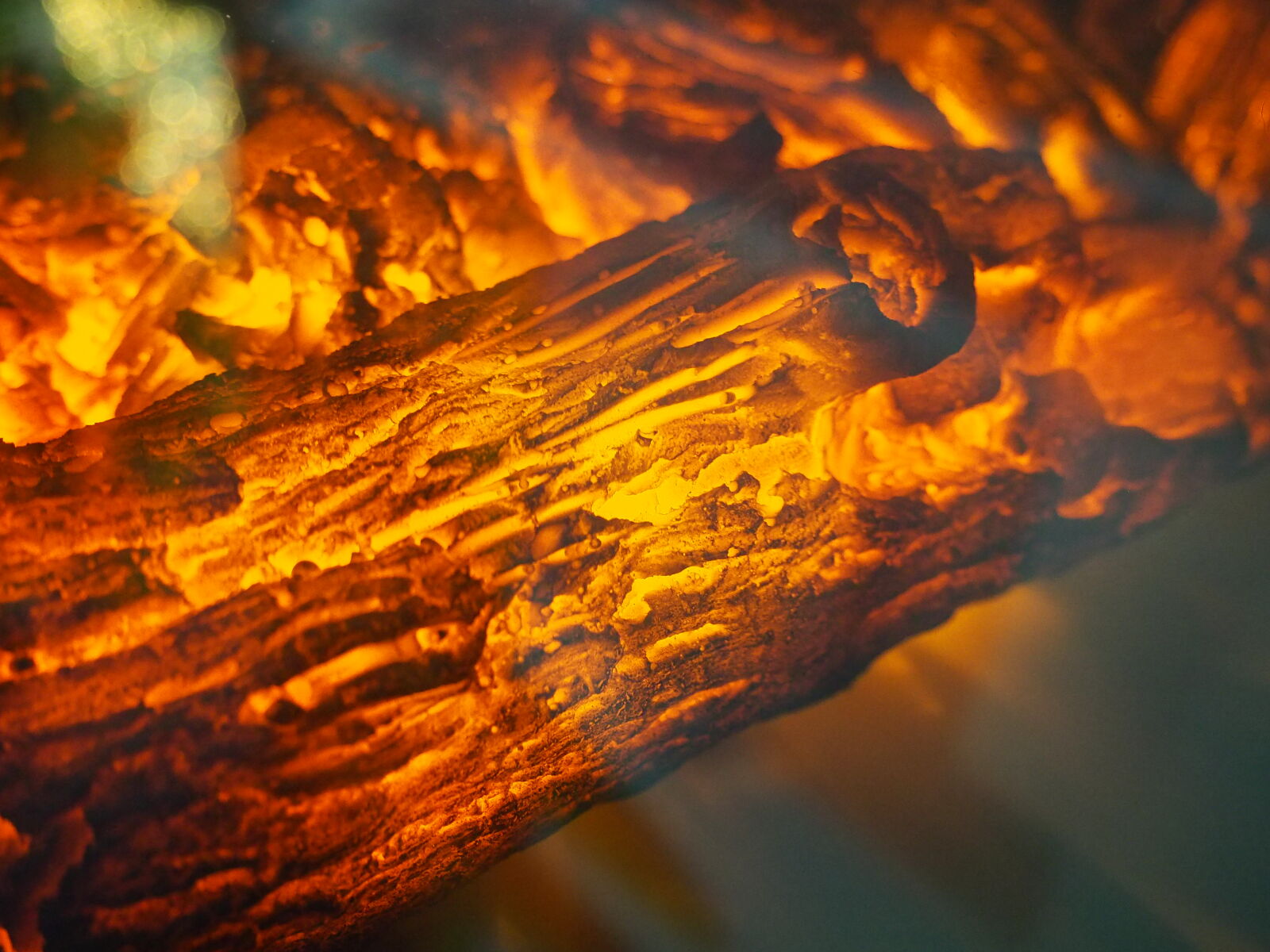 Olympus OM-D E-M10 II sample photo. Charcoal, on, fire photography