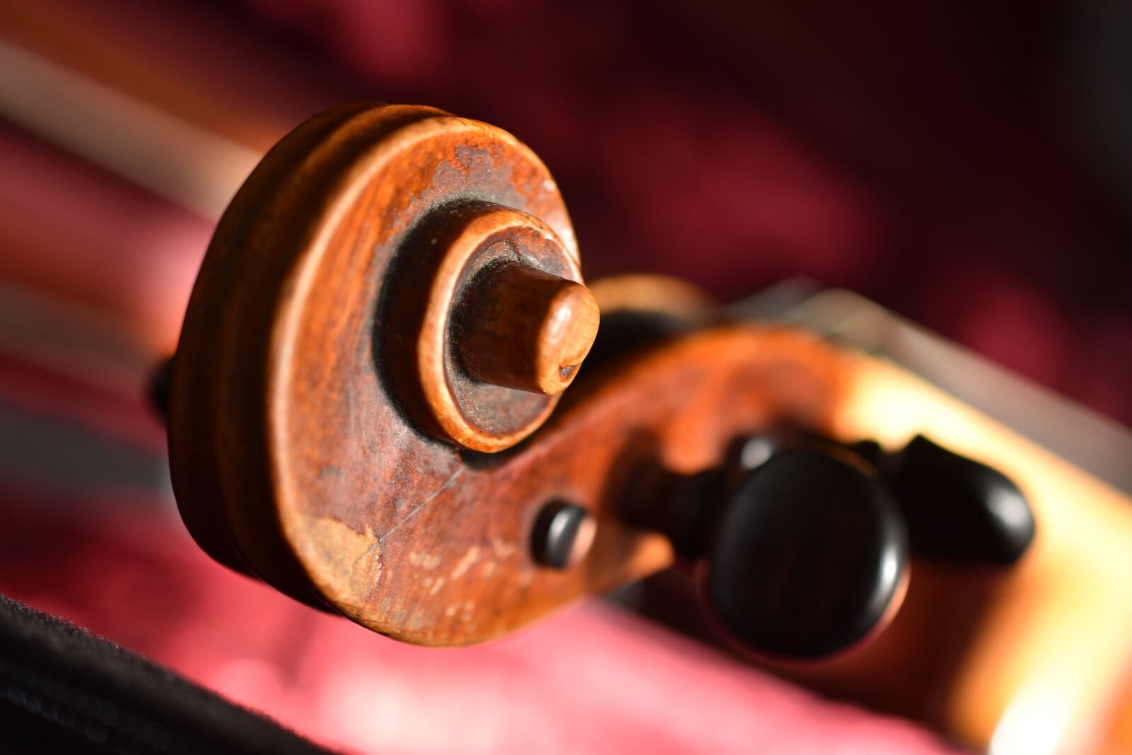 Nikon D5600 sample photo. Violin, snail, violin worm photography