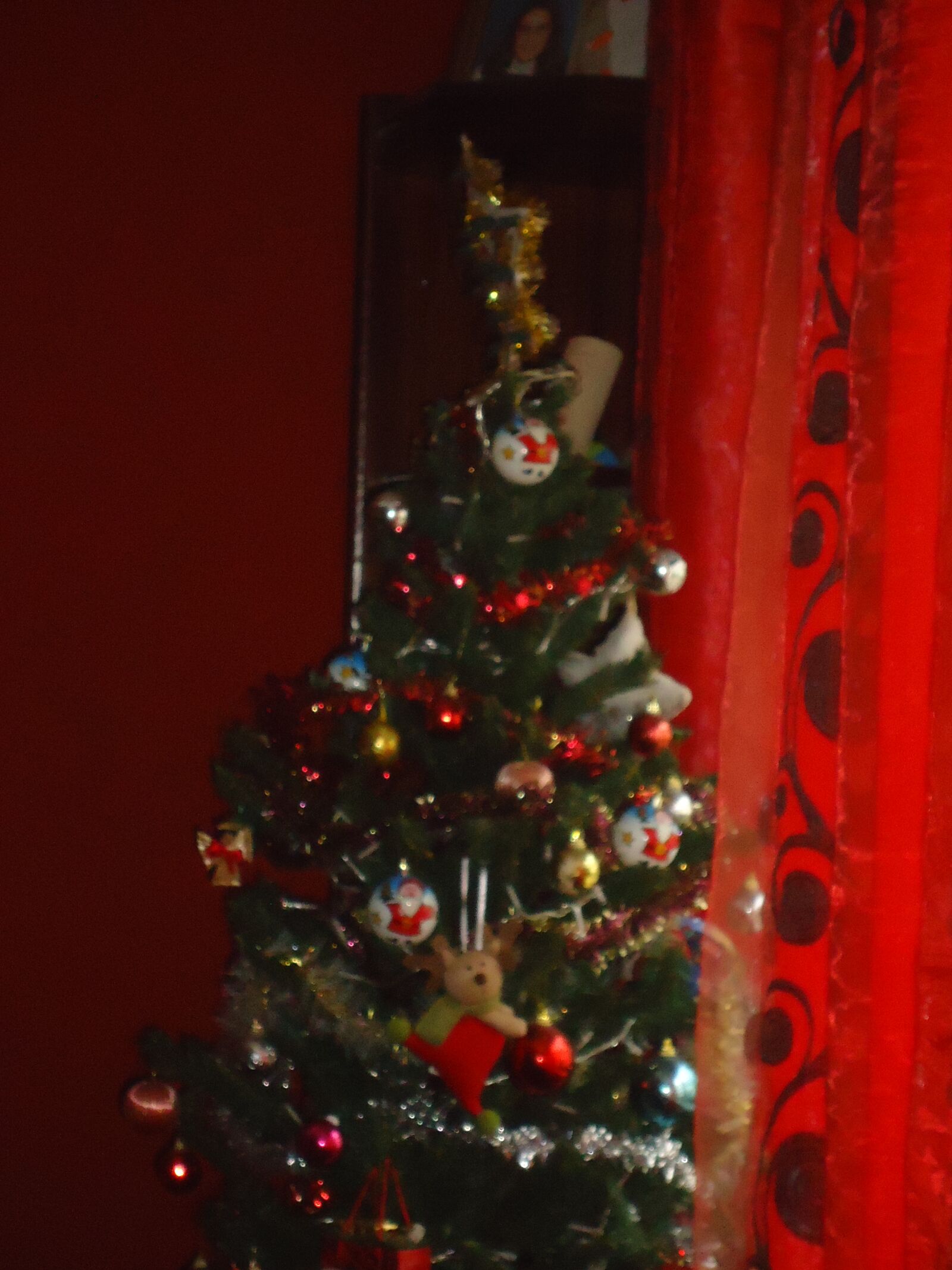 Sony Cyber-shot DSC-W530 sample photo. Christmas, tree, holiday photography