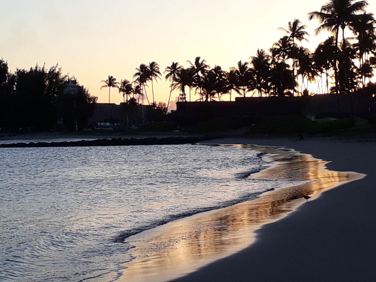 Samsung Galaxy A3(2017) sample photo. Beach, sundowner, sundown photography