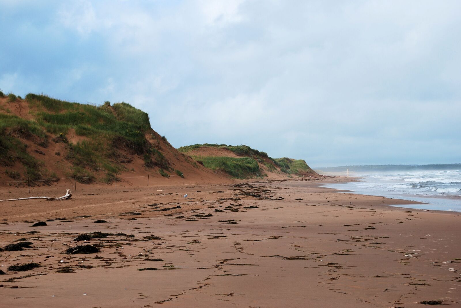 Nikon D60 sample photo. Prince edward island, pei photography