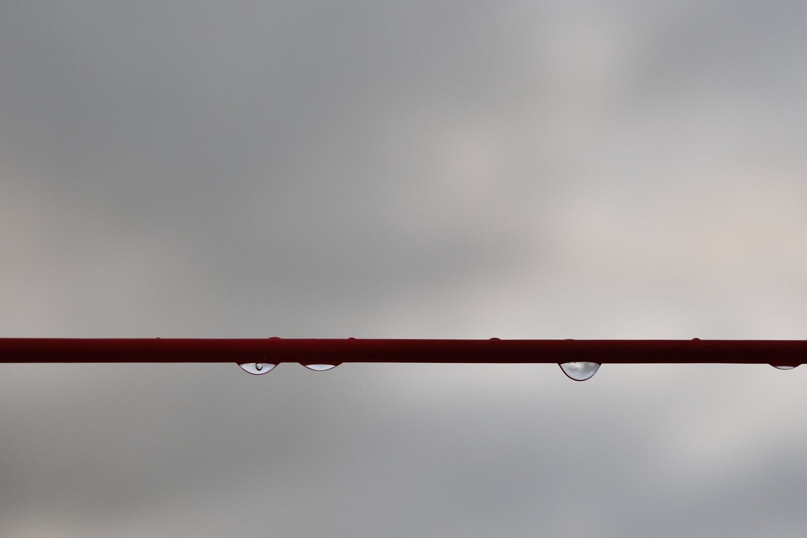 Nikon D5500 sample photo. Drops, link, red photography