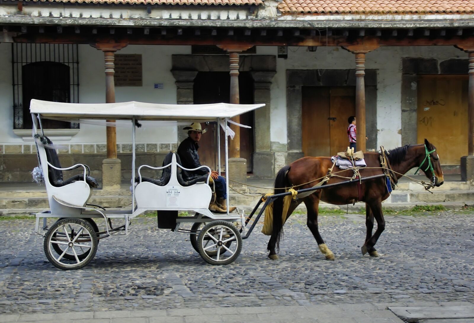 Pentax K200D sample photo. Mexico, puebla, carriage photography