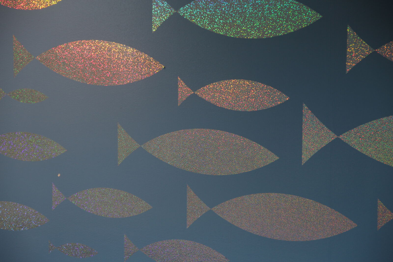 Canon EOS 7D sample photo. Background, fish, glitter, glitter photography