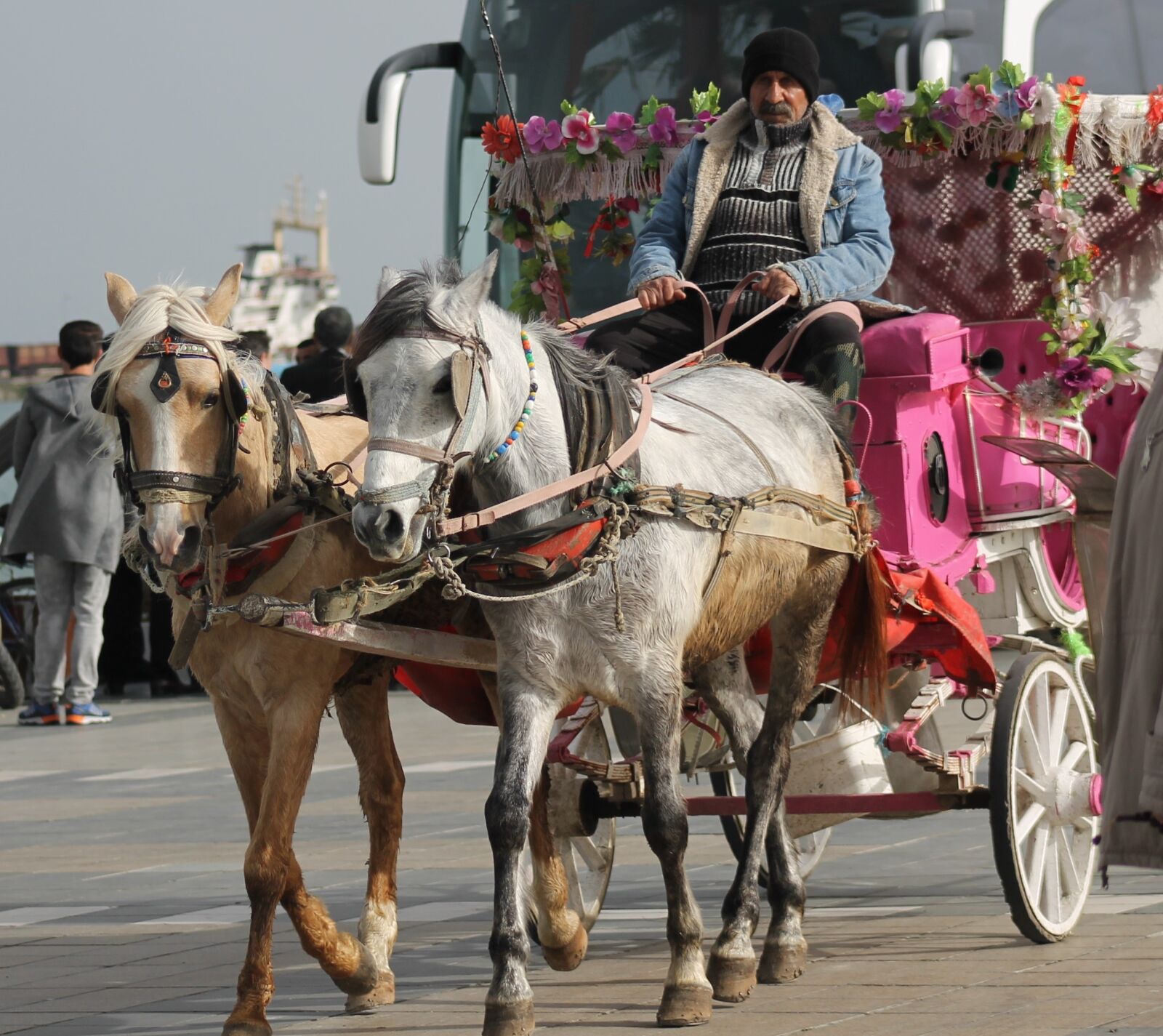 Canon EF75-300mm f/4-5.6 sample photo. Horse, animal, city photography