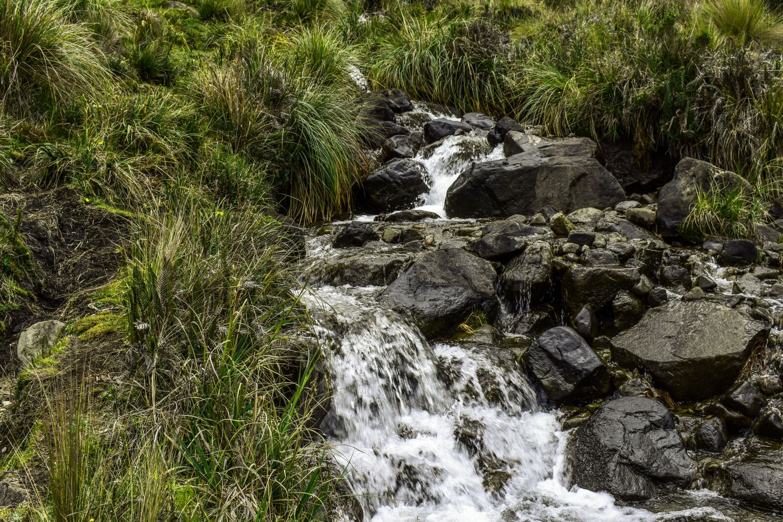 Nikon D3400 sample photo. Brook, water, landscape photography