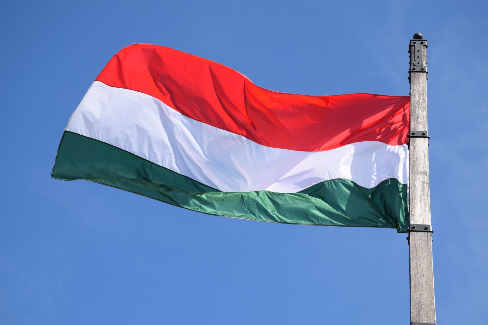 Nikon D3300 sample photo. Flag, hungarian, hungary photography