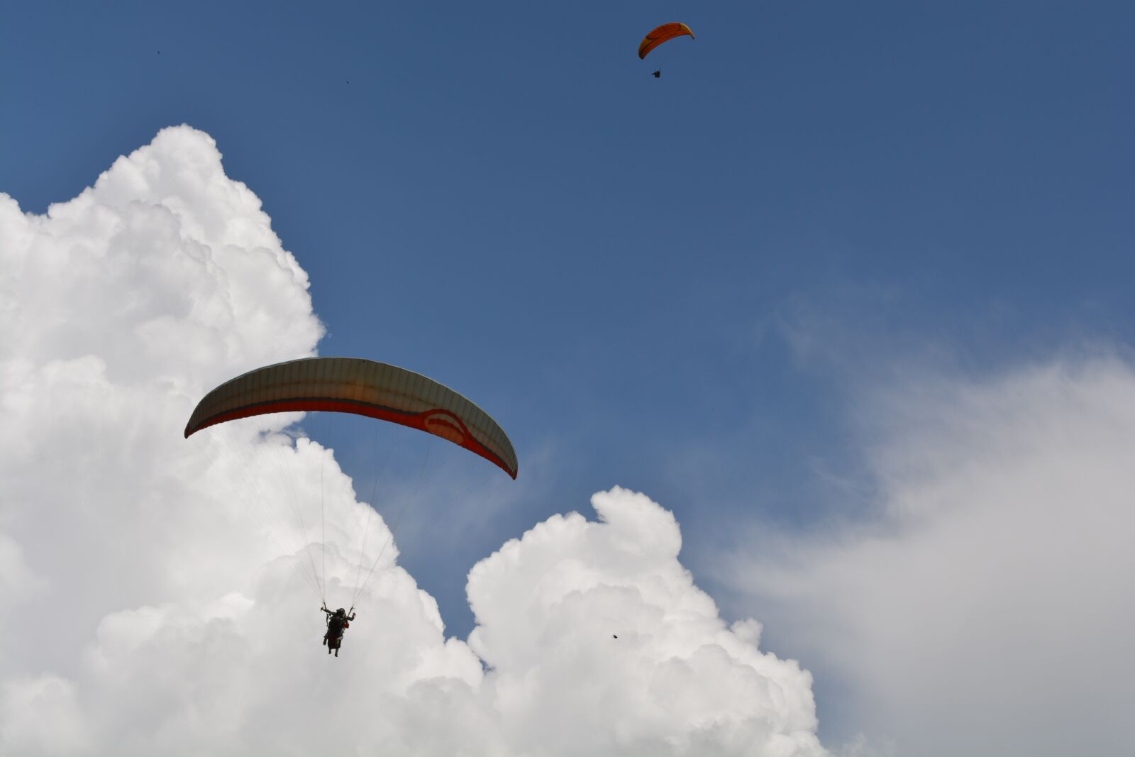 Nikon D5200 sample photo. Sky, air, flying photography