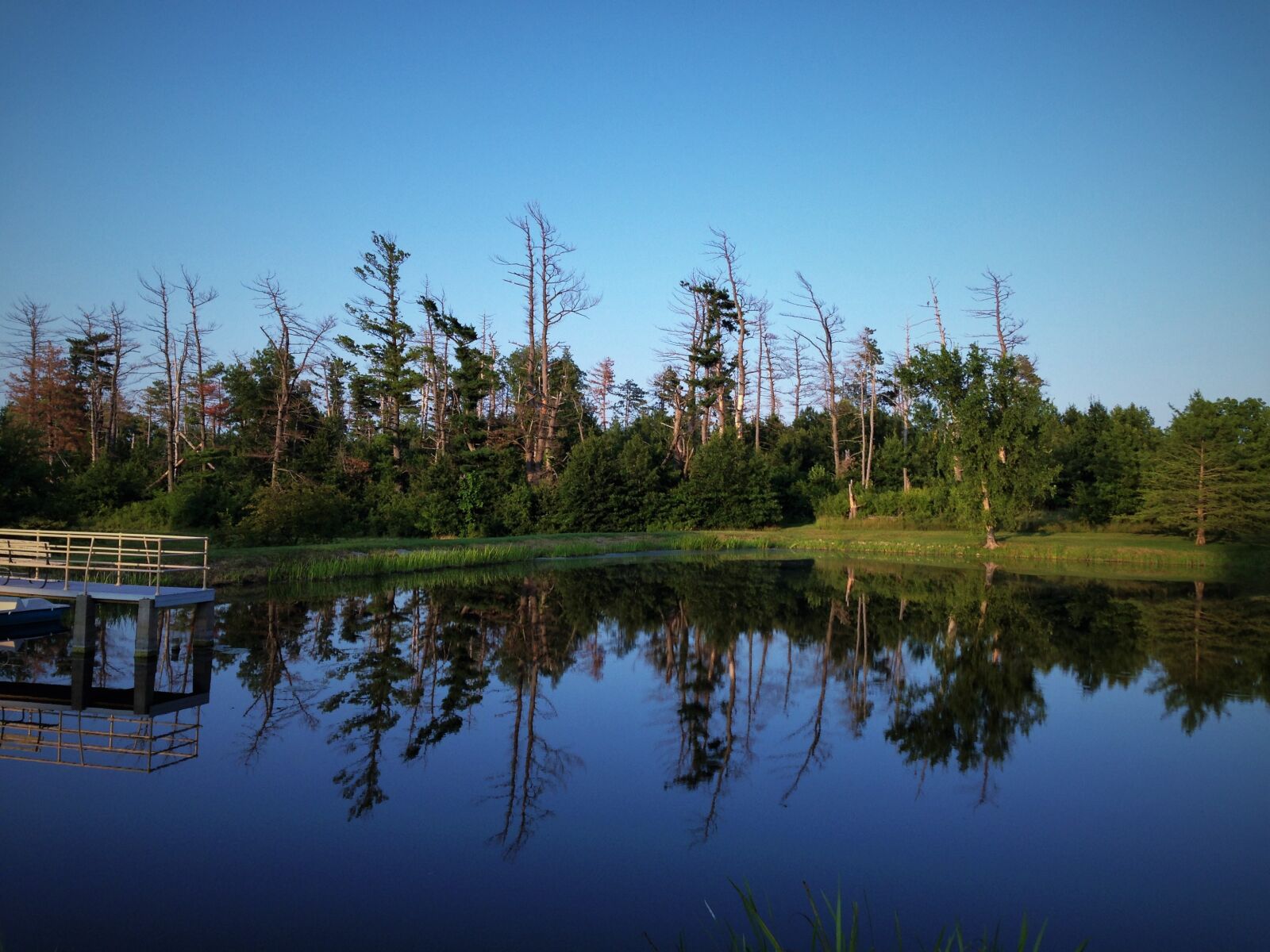 iPhone 5 back camera 4.12mm f/2.4 sample photo. Pond, landscape, nature photography