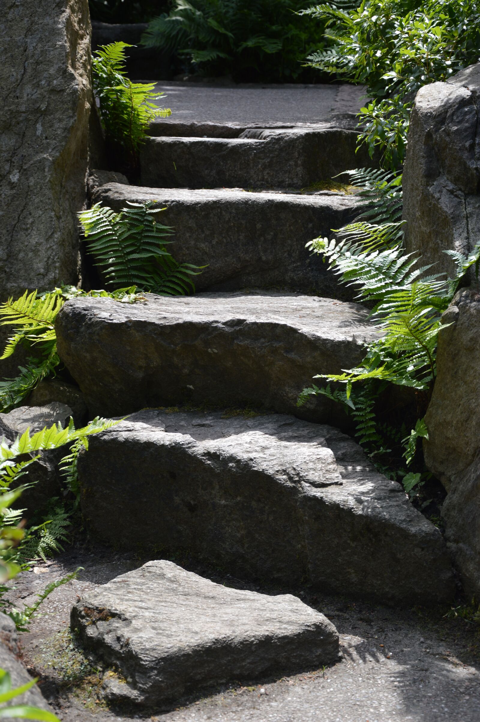 Nikon D3200 sample photo. Nature, stones photography