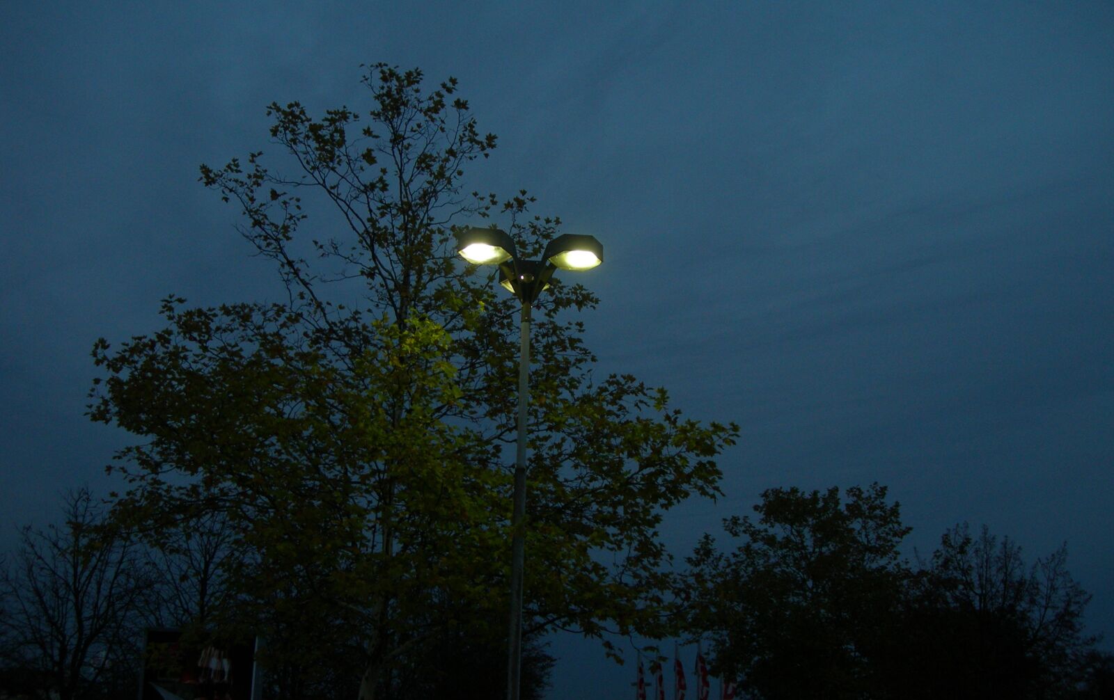 Nikon E7600 sample photo. Night, lanterns, lamps photography