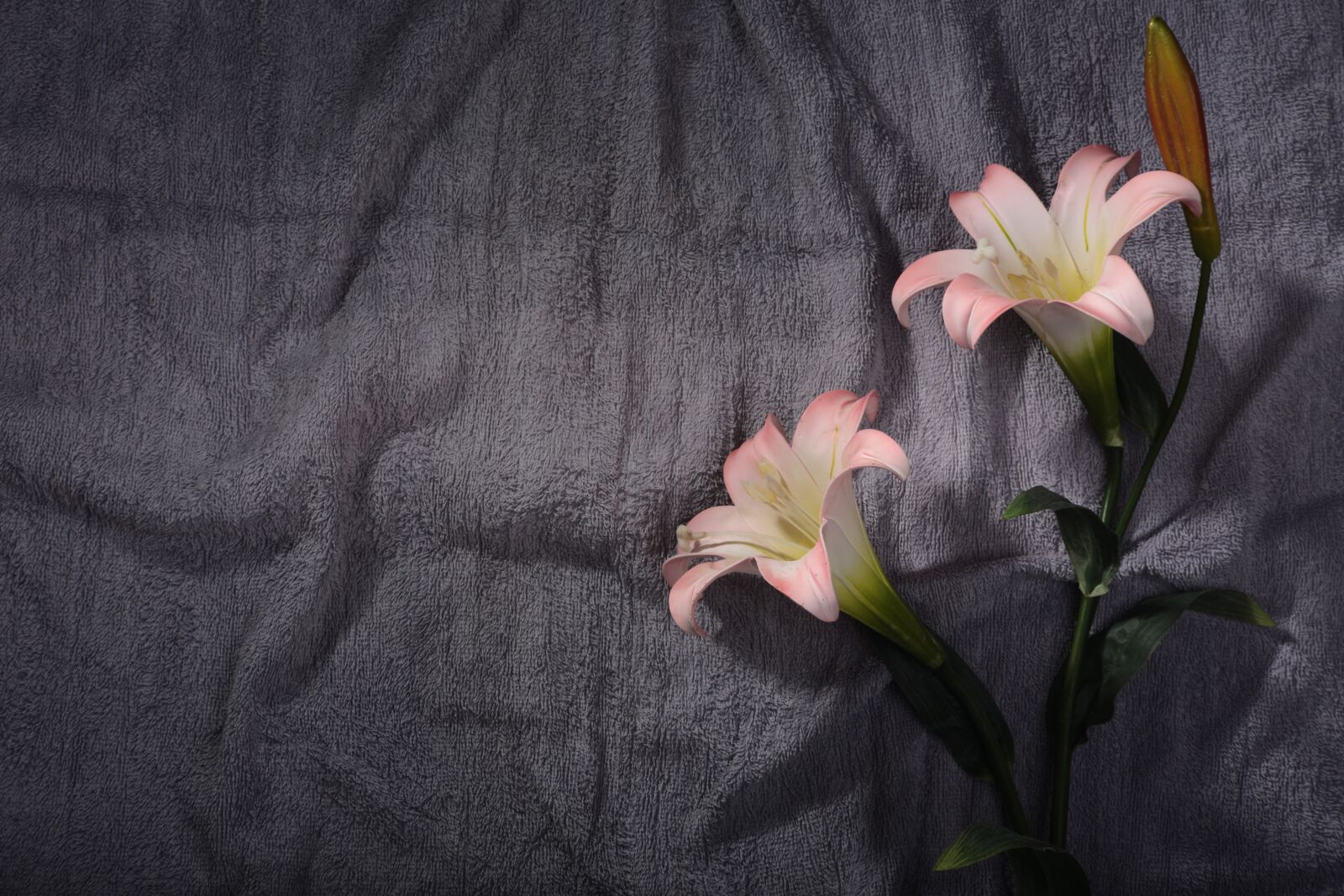 Canon EOS 6D sample photo. Pink flowers, colorful, summer photography