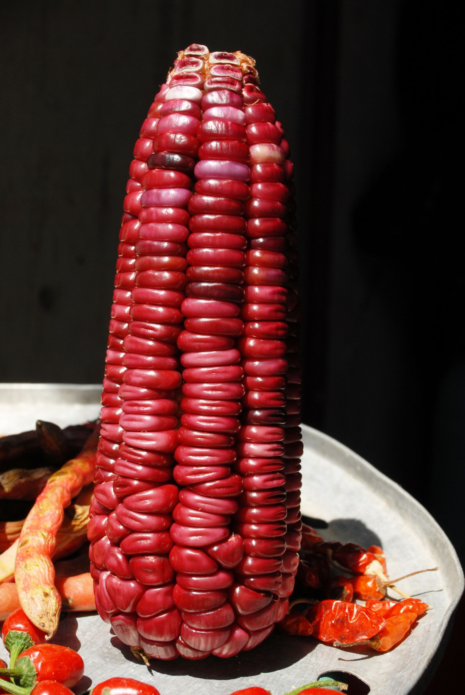 Nikon D200 sample photo. Corn, cob, agriculture photography