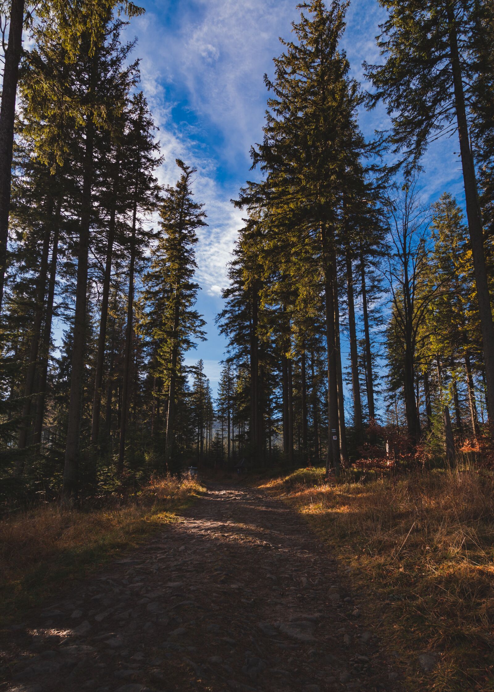 Canon EOS 5D Mark II sample photo. Pilsko, beskidy, beskids photography