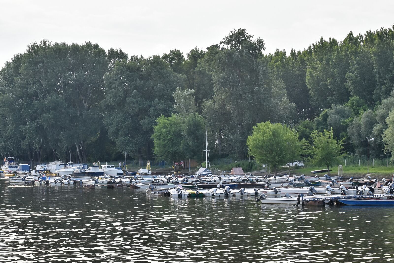 Nikon D5500 sample photo. Marina, shore, vehicle, water photography