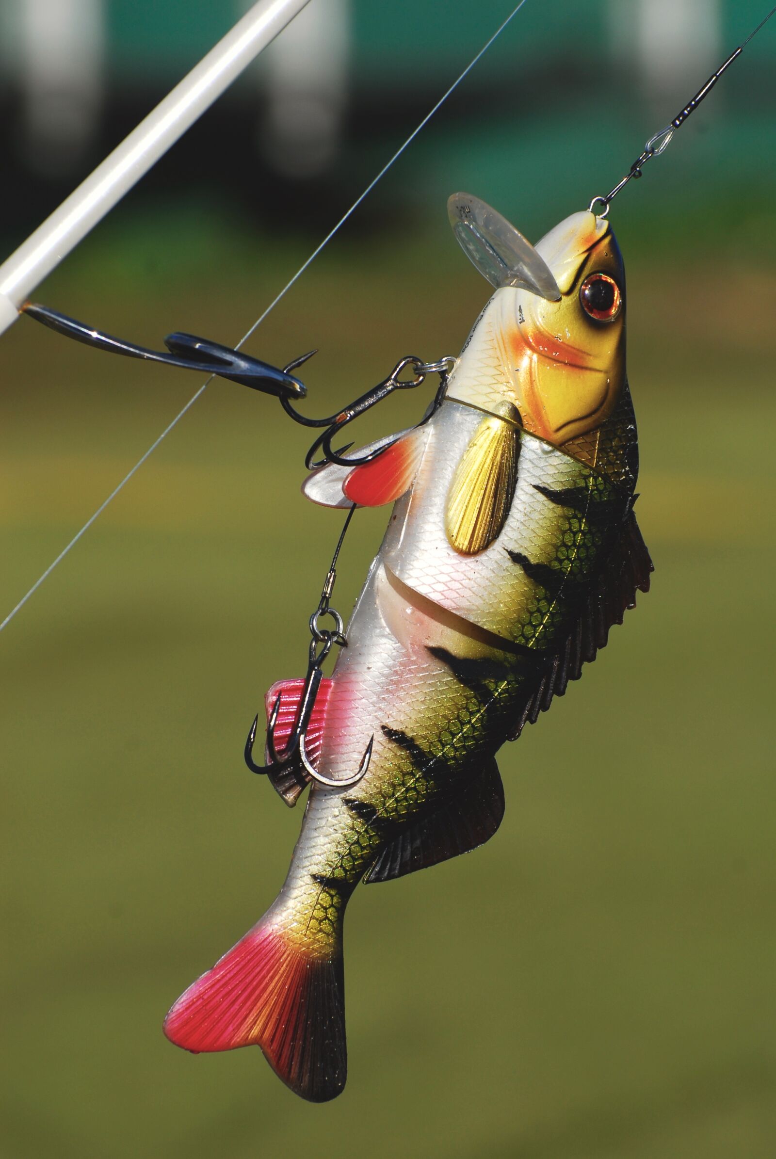 Nikon D200 sample photo. Lure, fishing, angling photography