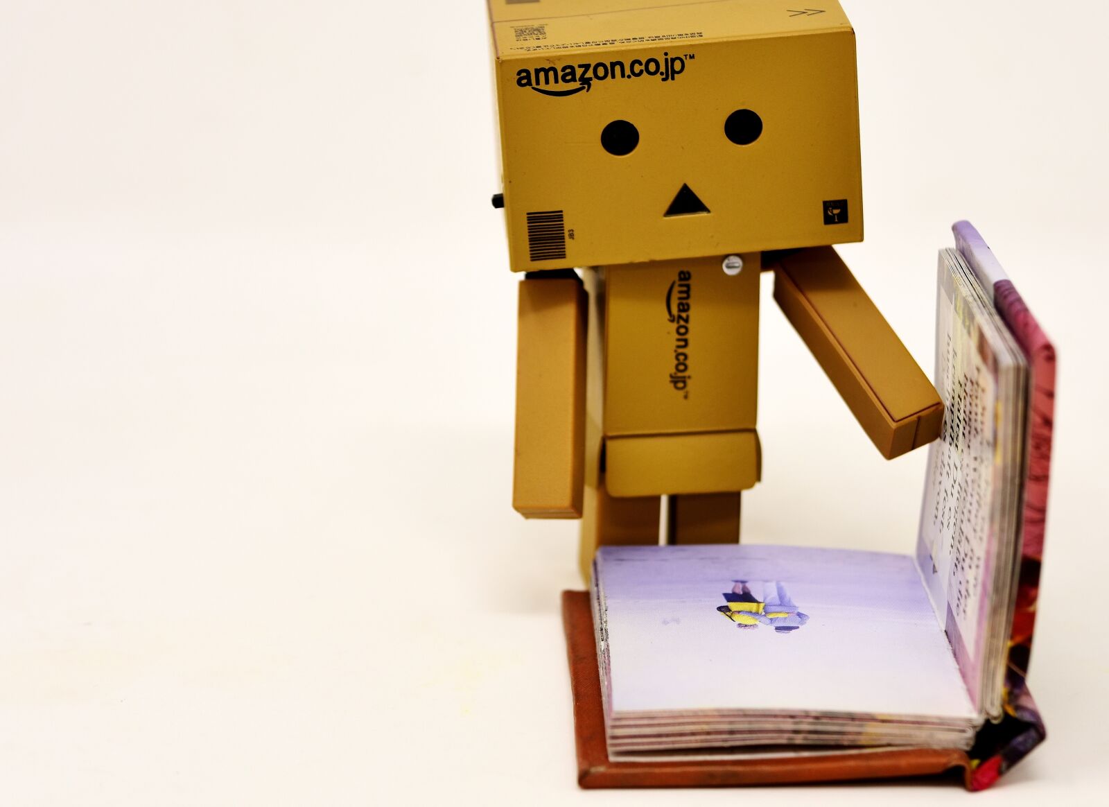 Nikon D7200 sample photo. Book, read, danbo photography