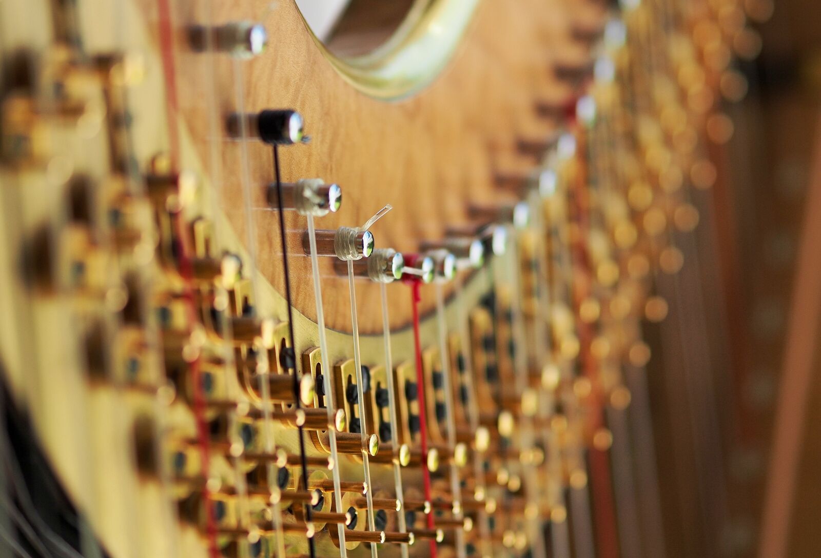 Olympus OM-D E-M5 + Olympus M.Zuiko Digital ED 75mm F1.8 sample photo. Harp, string, tension photography