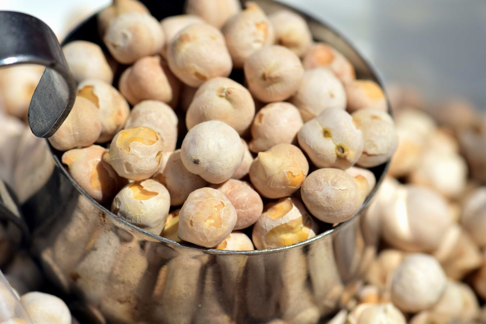 Nikon D3300 sample photo. Nut, plant, organic, nutrition photography