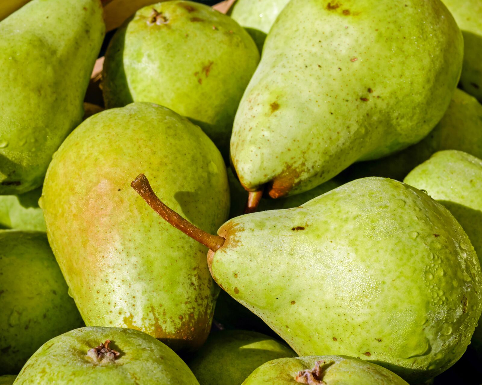 Fujifilm X-T10 + Fujifilm XF 35mm F1.4 R sample photo. Pears, fruit, bio photography