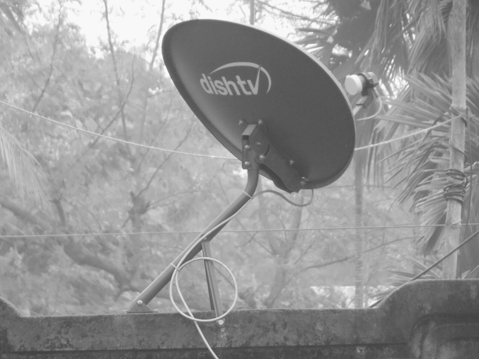 Nikon COOLPIX L330 sample photo. Dish, dish, tv photography