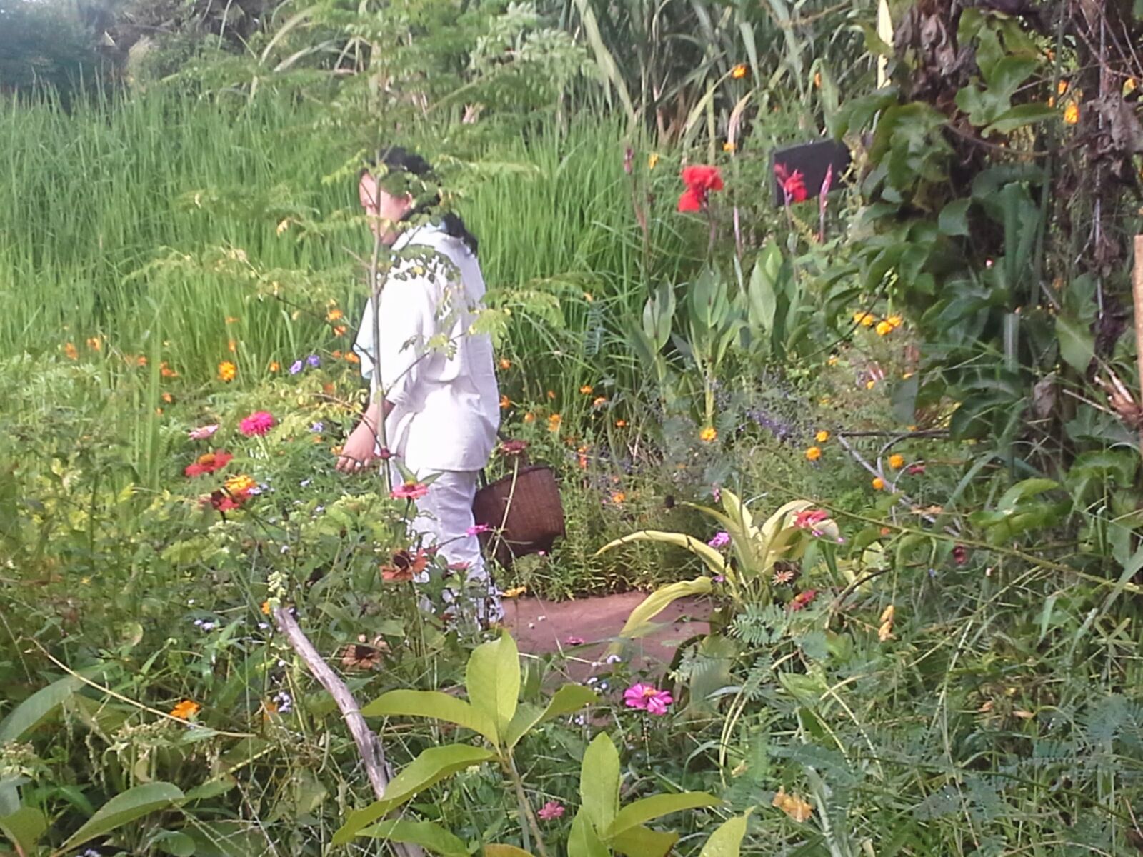 Samsung Galaxy Note 10.1 sample photo