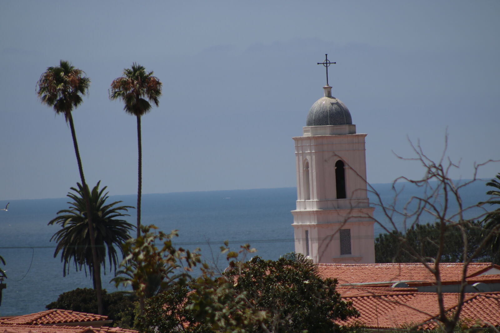Canon EOS 750D (EOS Rebel T6i / EOS Kiss X8i) + Canon EF 75-300mm f/4-5.6 sample photo. Church, tower, cross, palm photography