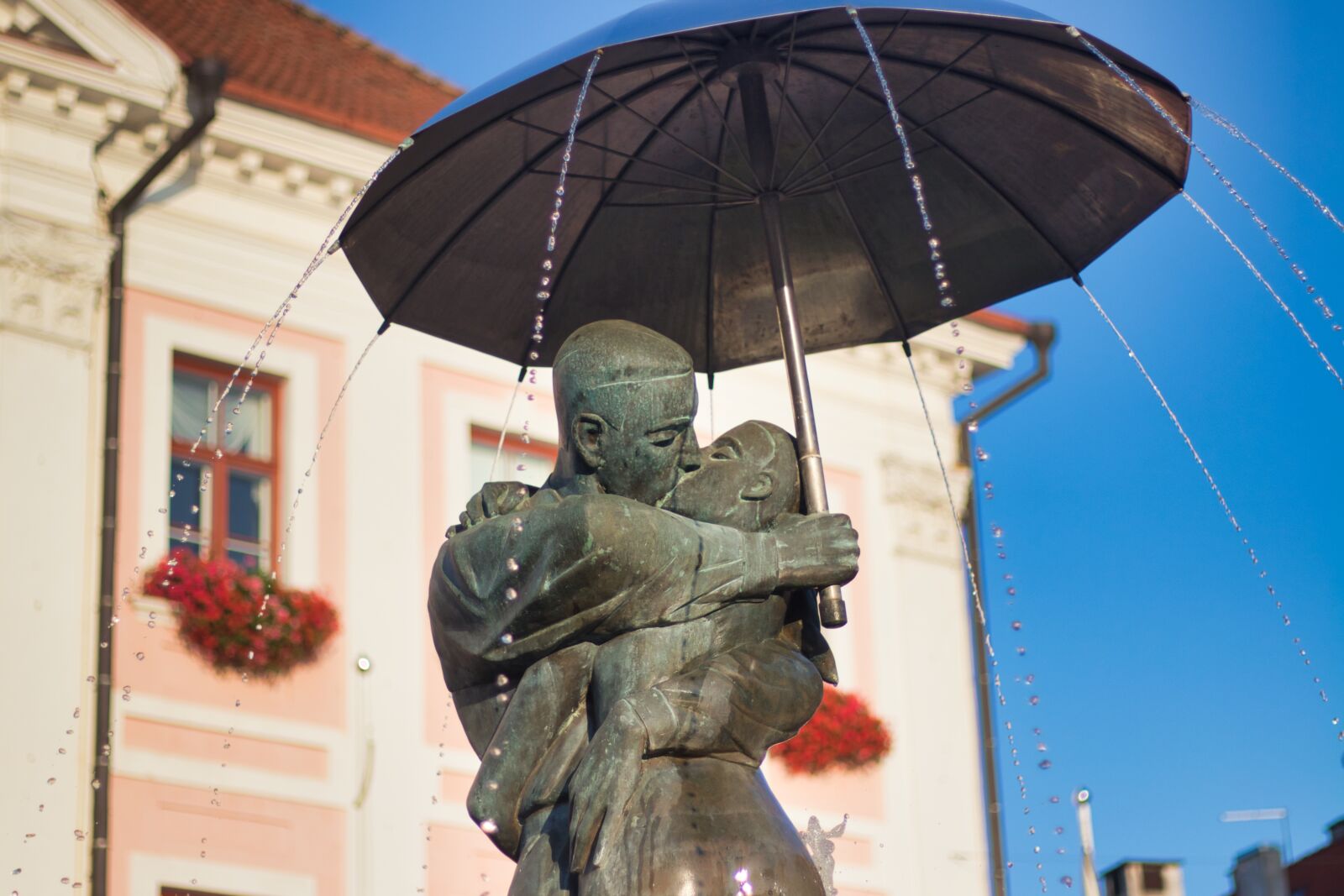 Canon EOS 80D + Canon EF 50mm F1.8 STM sample photo. Tartu, kiss, estonia photography