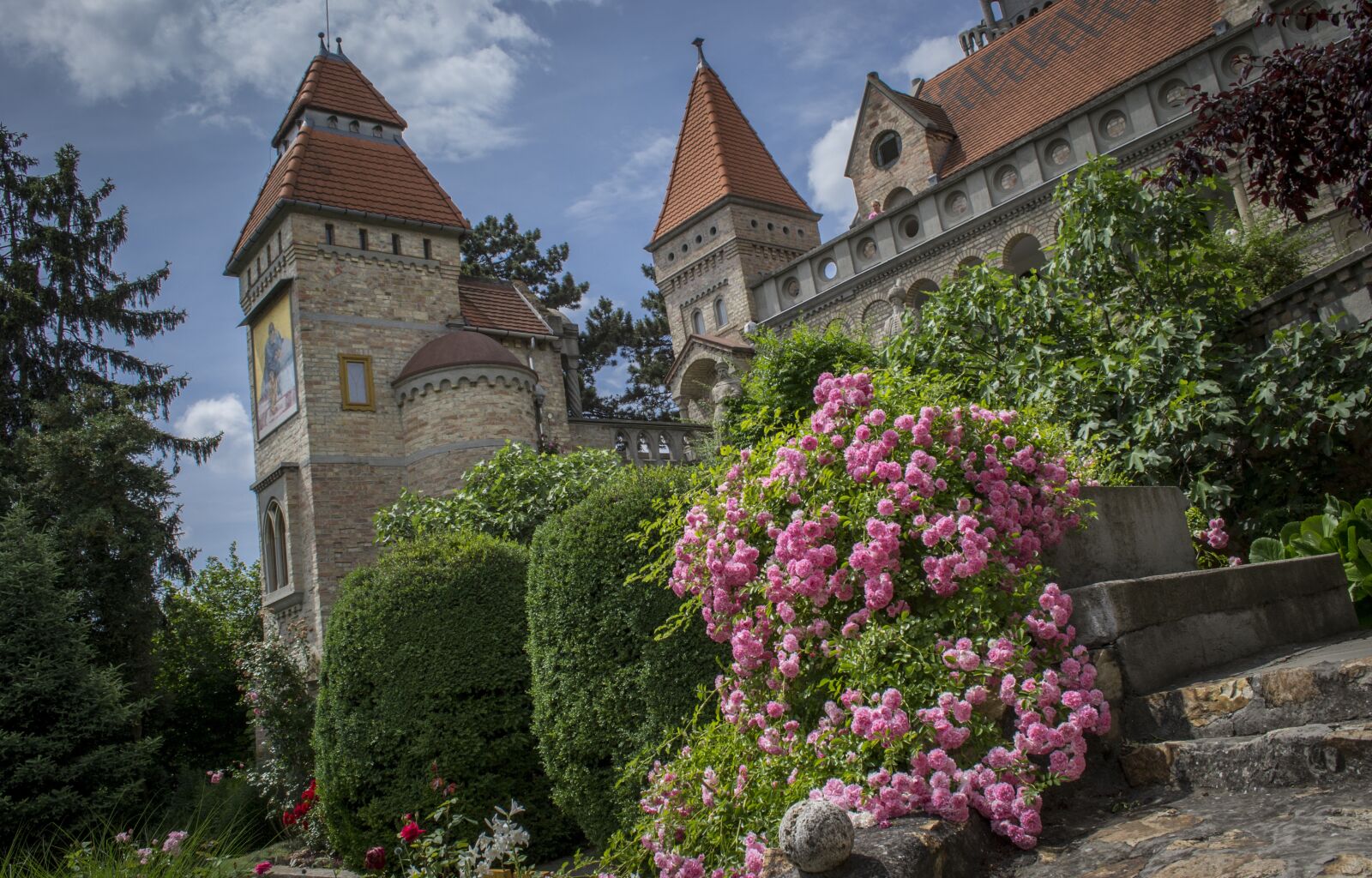 Nikon D3100 sample photo. Rose, architectural, castle photography
