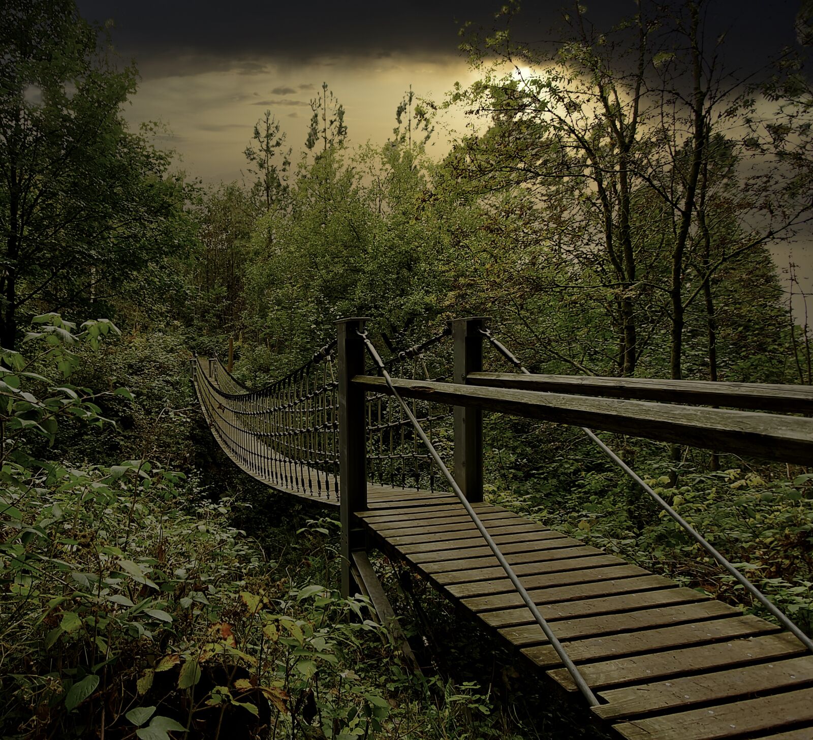 Canon EOS 60D + Canon EF-S 10-22mm F3.5-4.5 USM sample photo. Bridge, nature, forest photography