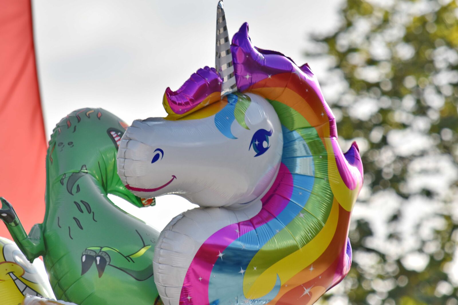 Nikon D5500 sample photo. Balloon, birthday, celebration, colorful photography