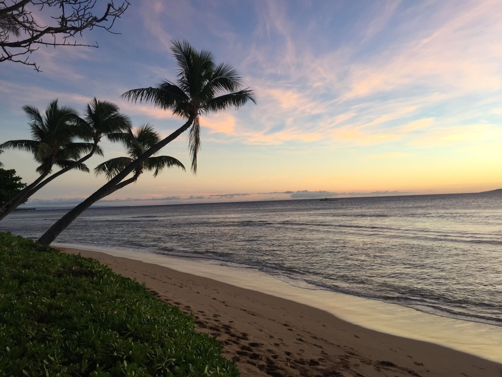 Apple iPhone 6 sample photo. Hawaii, molokai, maui photography