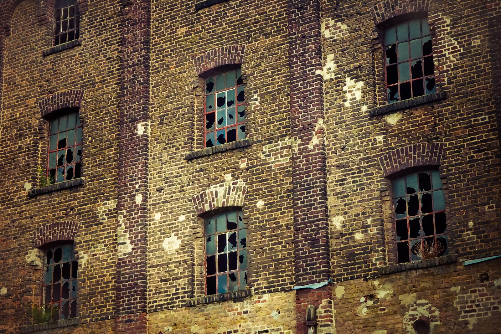 Olympus OM-D E-M10 sample photo. Lost places, warehouse, stock photography